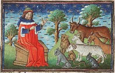 Адам дает имена животным